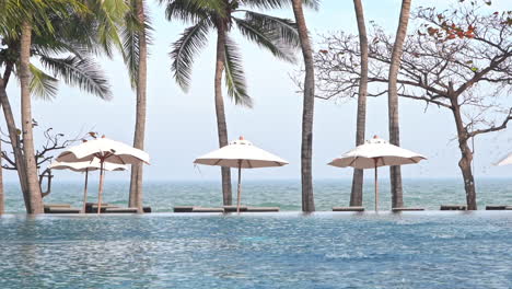 tropical beachfront lounge with swimming pool, line of sunshades with deck chairs next to the sea or ocean