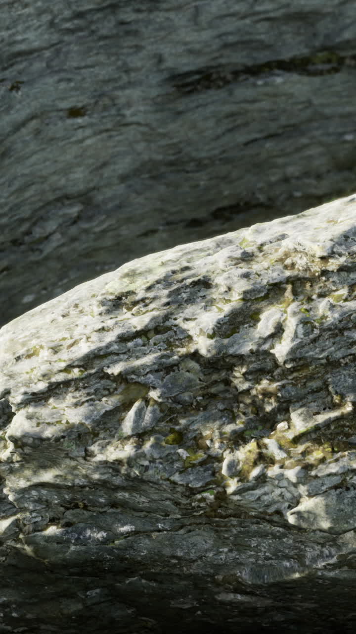 Formazione rocciosa in un ambiente naturale durante il giorno vicino a una fonte d'acqua.