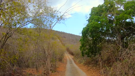 conduciendo por una carretera en el parque nacional christoffel en la isla de curacao