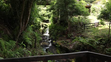 Parque-Forestal-Y-Jardines-En-Agualva-Parque-Das-Frechas-Ruta-De-Senderismo-En-Agualva,-Azores,-Portugal