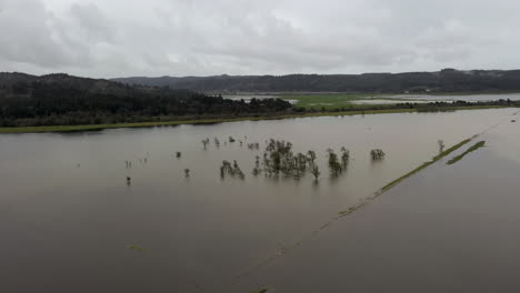 panorama of a puddly pasture land near coquille valley in coos county, bandon oregon