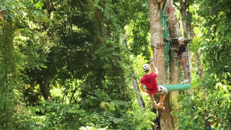 ziplining adventure in a tropical forest