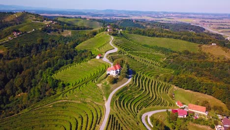 Stunning-aerial-4K-drone-footage-of-Haloze,-Slovenia