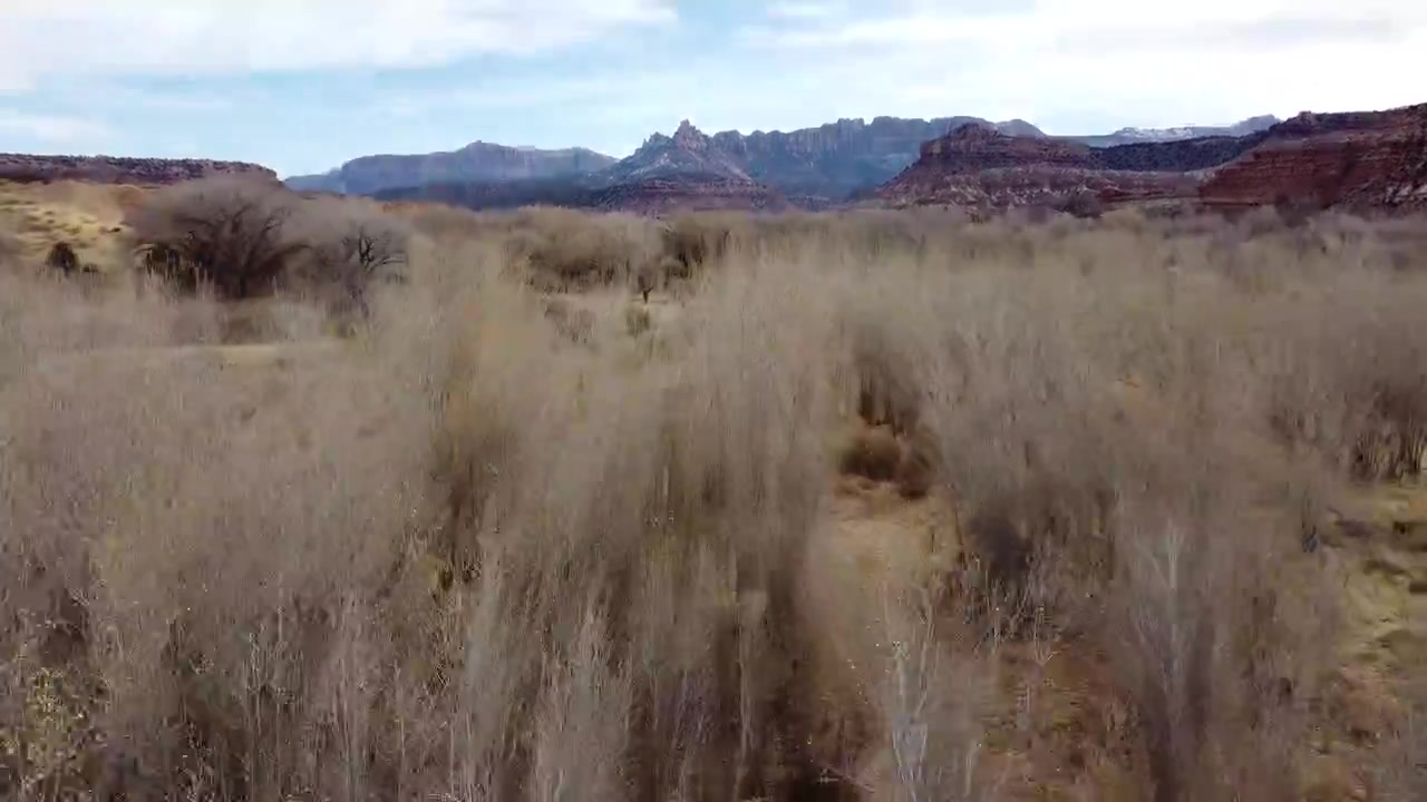Video con drone in volo sopra il Parco Nazionale di Zion con montagne in lontananza.