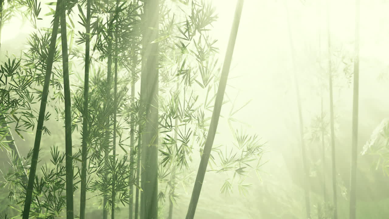 Ethereal bamboo forest basking in soft morning light with misty atmosphere