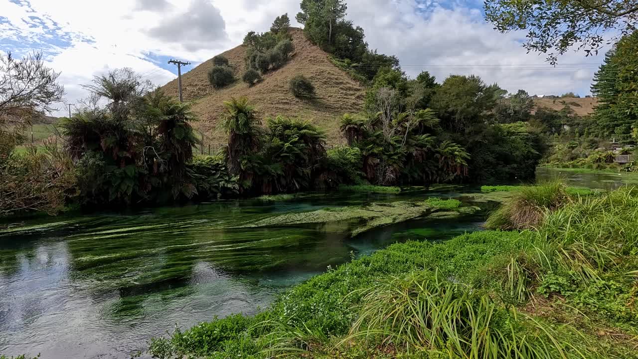 Peaceful scenery around Blue Springs in New Zealand. Clear waters, lush greenery, and tranquil surroundings highlight the natural beauty of this pristine freshwater location