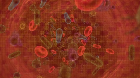animación de células en movimiento sobre fondo rojo