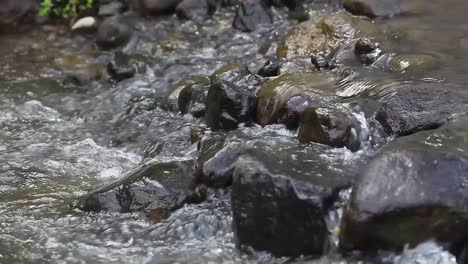 Close-up-view-mountain-stream-with-black-stones