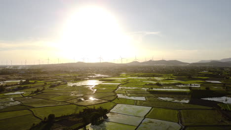 son hai landscape with shrimp farming and wind turbines