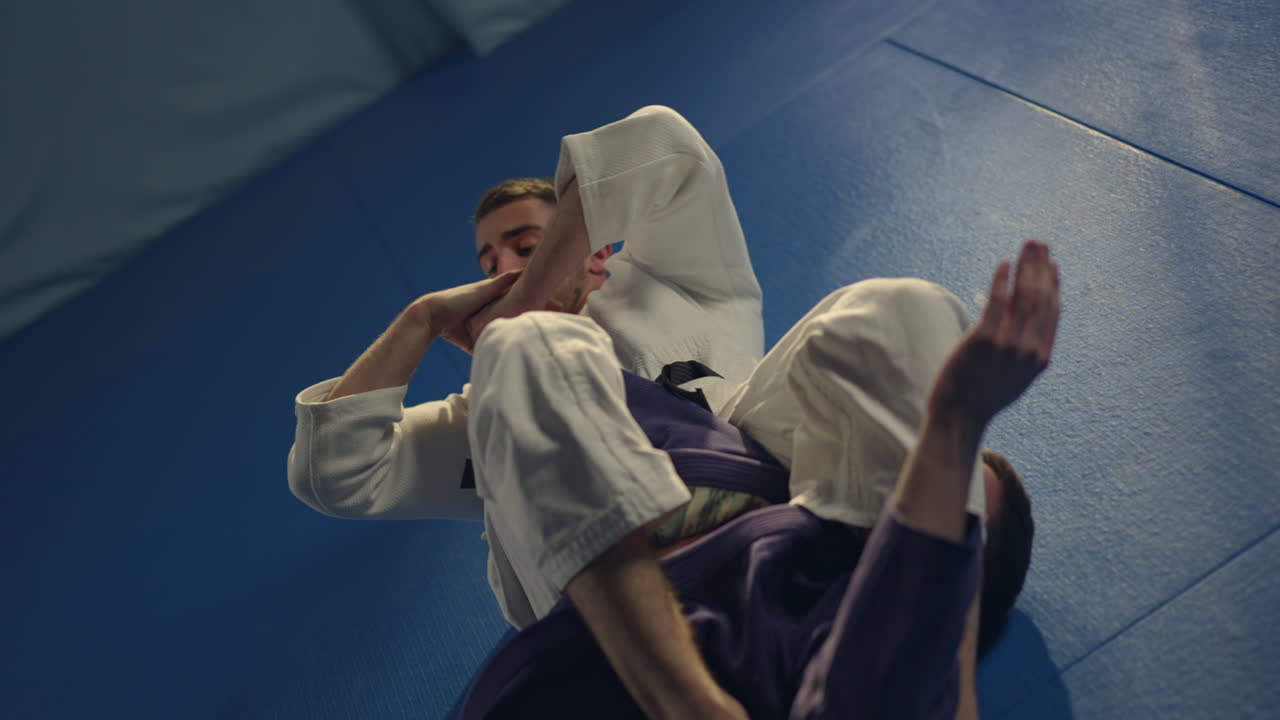 Martial Arts Grappling