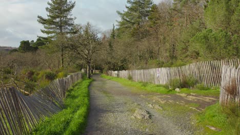 Old-Wooden-Fence-On-Long-Tracks-At-Saint-Nicolas-Park-In-Angers,-France