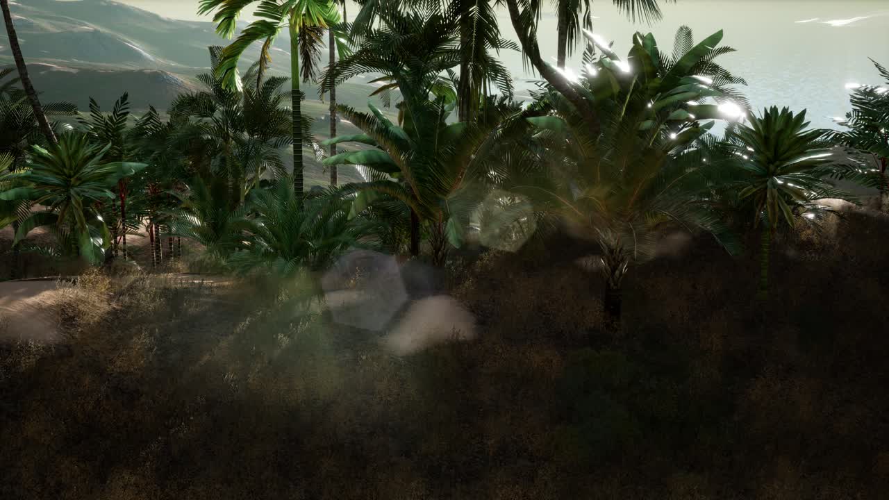 los rayos del atardecer a través de las palmeras