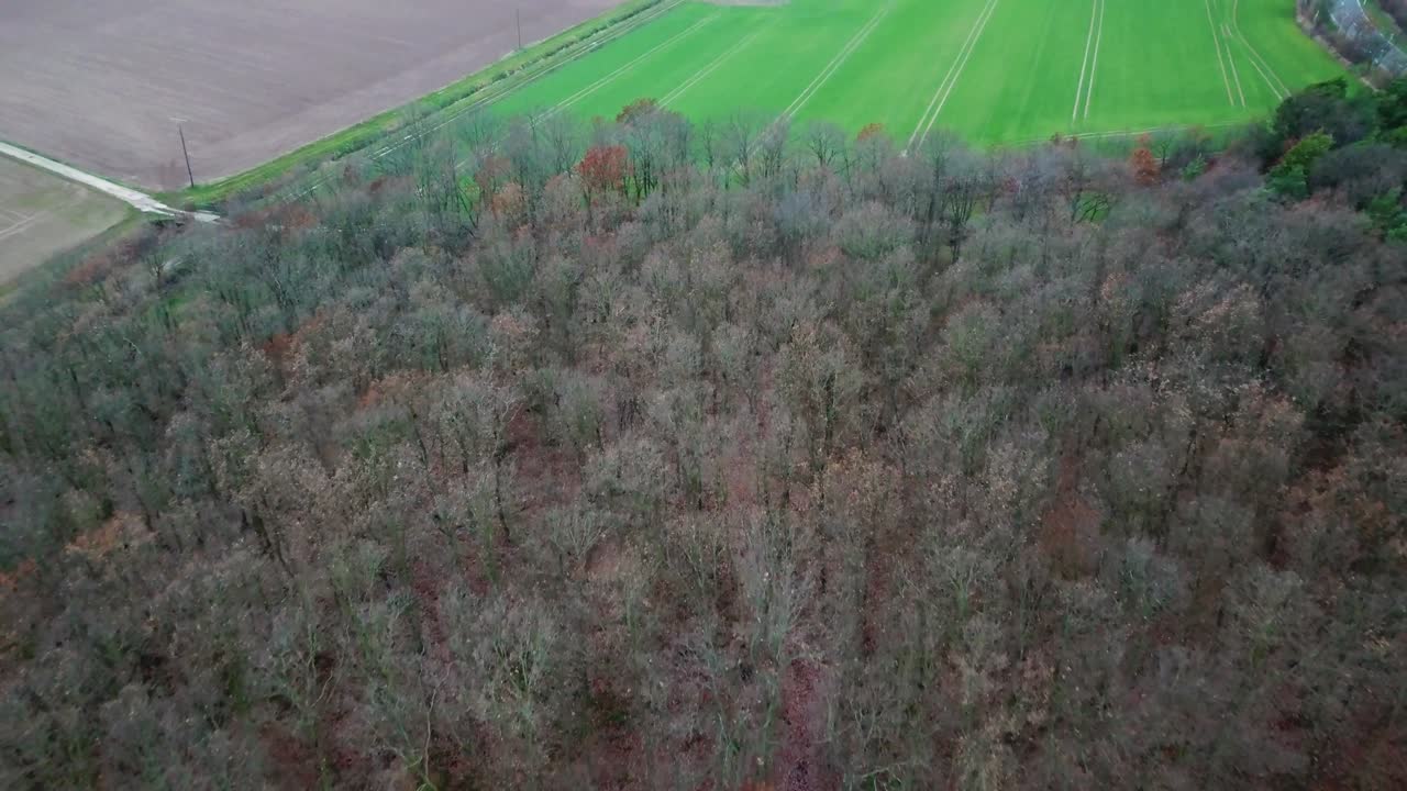 Looking at a forest without any leaves Germany "18