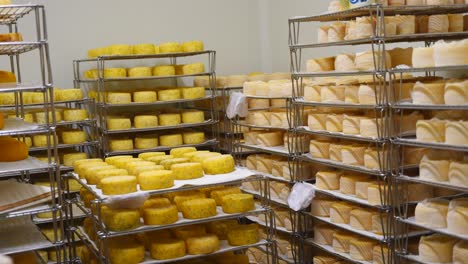 different varieties of cheese refrigerated in a chamber, stacked on racks