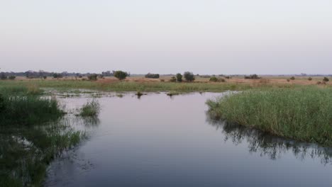 río africano en sabana de pastizales, migración de cruce de río de vida silvestre