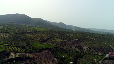 Aerial-drone-shot-from-left-to-right-over-beautiful-farmland-with-olives-and-oranges-crops-on-the-hilly-slopes-in-Sicily,-Italy-on-a-sunny-daytime