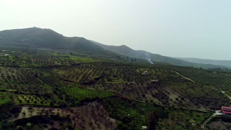 un dron aéreo disparó de izquierda a derecha sobre hermosas tierras de cultivo con cultivos de olivos y naranjas en las laderas montañosas de sicilia, italia, en un día soleado