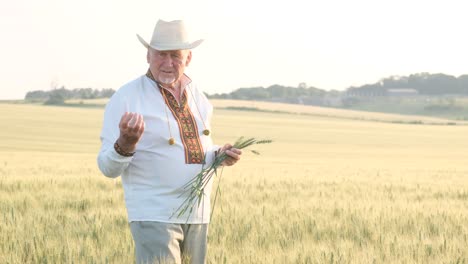 an old peasant in an embroidered coat and hat in the middle of a wheat field against a clear sky an old ukrainian peasant in an embroidered coat and hat in the middle of a wheat field against a clear sky agribusiness of ukraine businessman farmer in the field