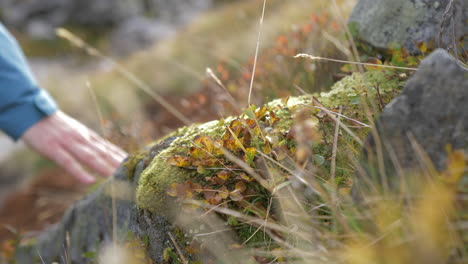 Eine-Frau-Berührt-Sanft-Einen-Moosigen-Felsen,-Während-Sie-Auf-Einer-Wanderung-Ist,-Nahaufnahme-In-Zeitlupe