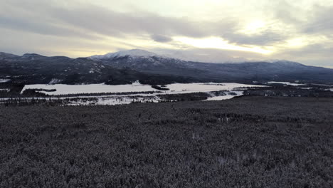 dense forest and mountains at dawn in ibex valley near whitehorse, yukon, canada. aerial wide shot