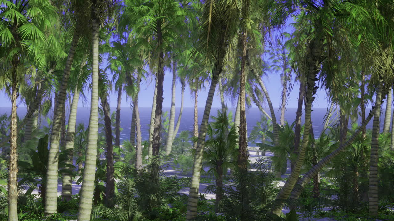 Tropical forest landscape with palm trees and distant ocean view in daytime