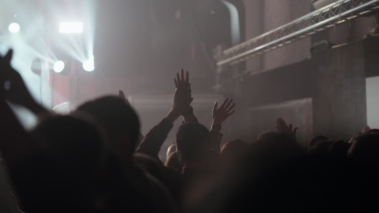 Folla Energica che Esulta e Applaude a un Concerto Dal Vivo