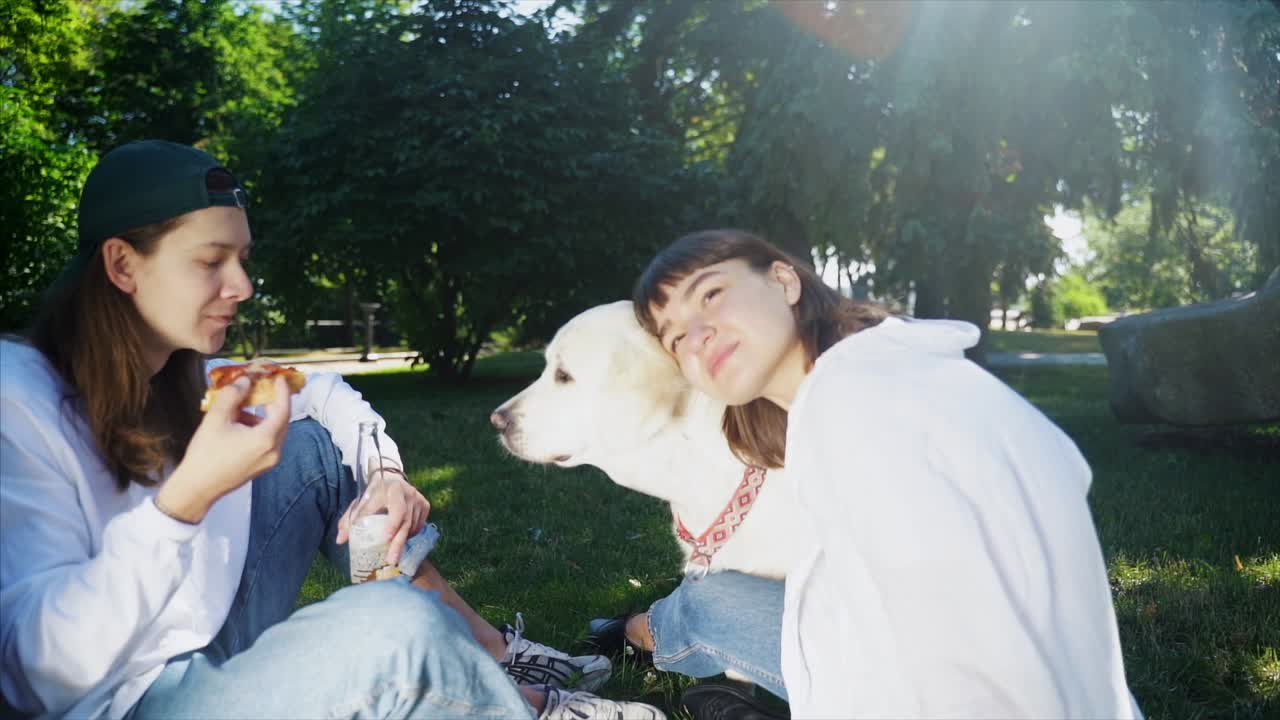 친구 들 이 공원 에서 개 와 함께 피크닉 을 즐기고 있다