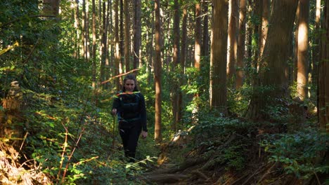 Slow-motion,-female-hikes-towards-camera-through-forest,-filtered-sunlight