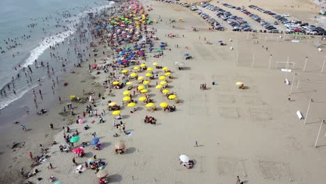 many people in the beach shore