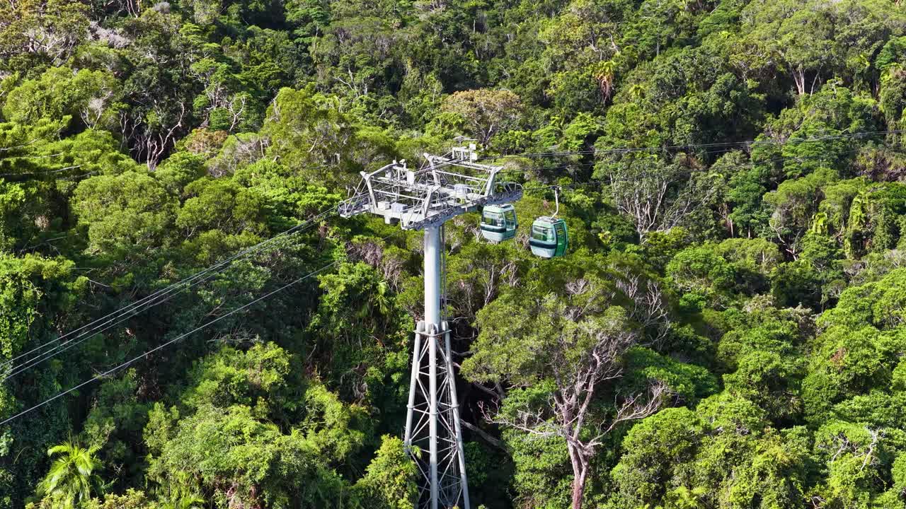 Cable cars glide over dense rainforest, showcasing vibrant greenery and serene aerial views in bright daylight