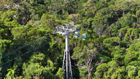cable cars glide over dense rainforest, showcasing vibrant greenery and serene aerial views in bright daylight