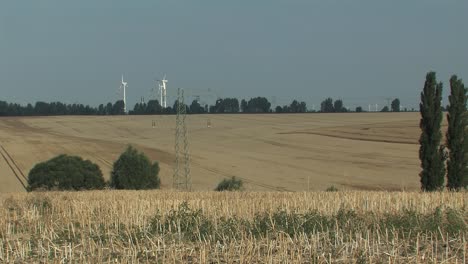 Campo-De-Trigo-Cosechado-En-Magdeburger-Boerde,-Alemania-1