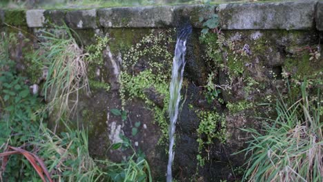 Small water fall path.