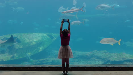 little girl taking photo of fish in aquarium using smartphone photographing marine animals swimming in tank learning about sea life in aquatic habitat having fun in oceanarium