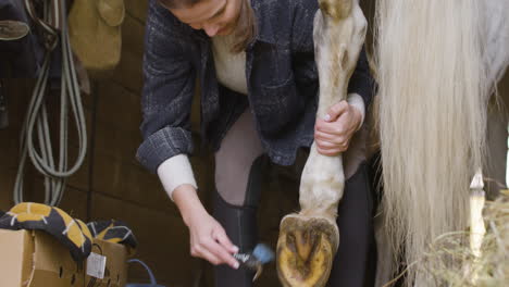 images en gros plan d'une jeune femme nettoyant le sabot d'un cheval