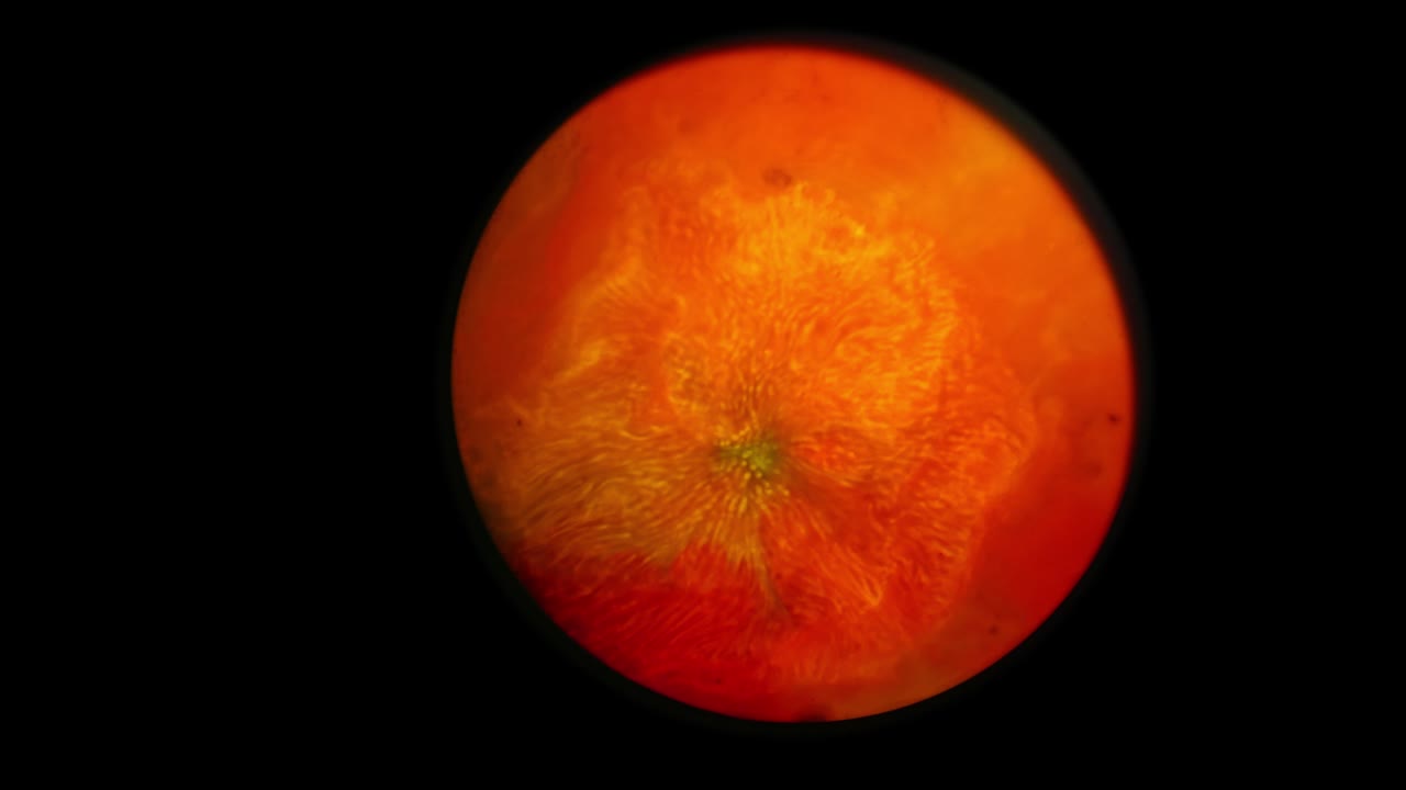 움직이는 표면이 넓은 추상 빨강 및 녹색 행성