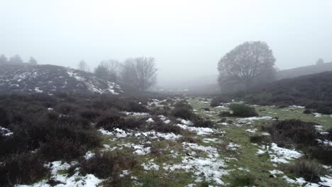 Antena-De-Vuelo-Bajo-Hacia-Atrás-Que-Muestra-Páramos-Con-Nieve-Y-Niebla-Densa-Escena-Invernal-En-El-Paisaje-De-Colinas-Holandesas-A-Lo-Largo-Del-Camino-Nómada-Del-Ganado