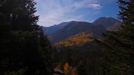 Drone-flying-through-forest-revealing-mountain-range