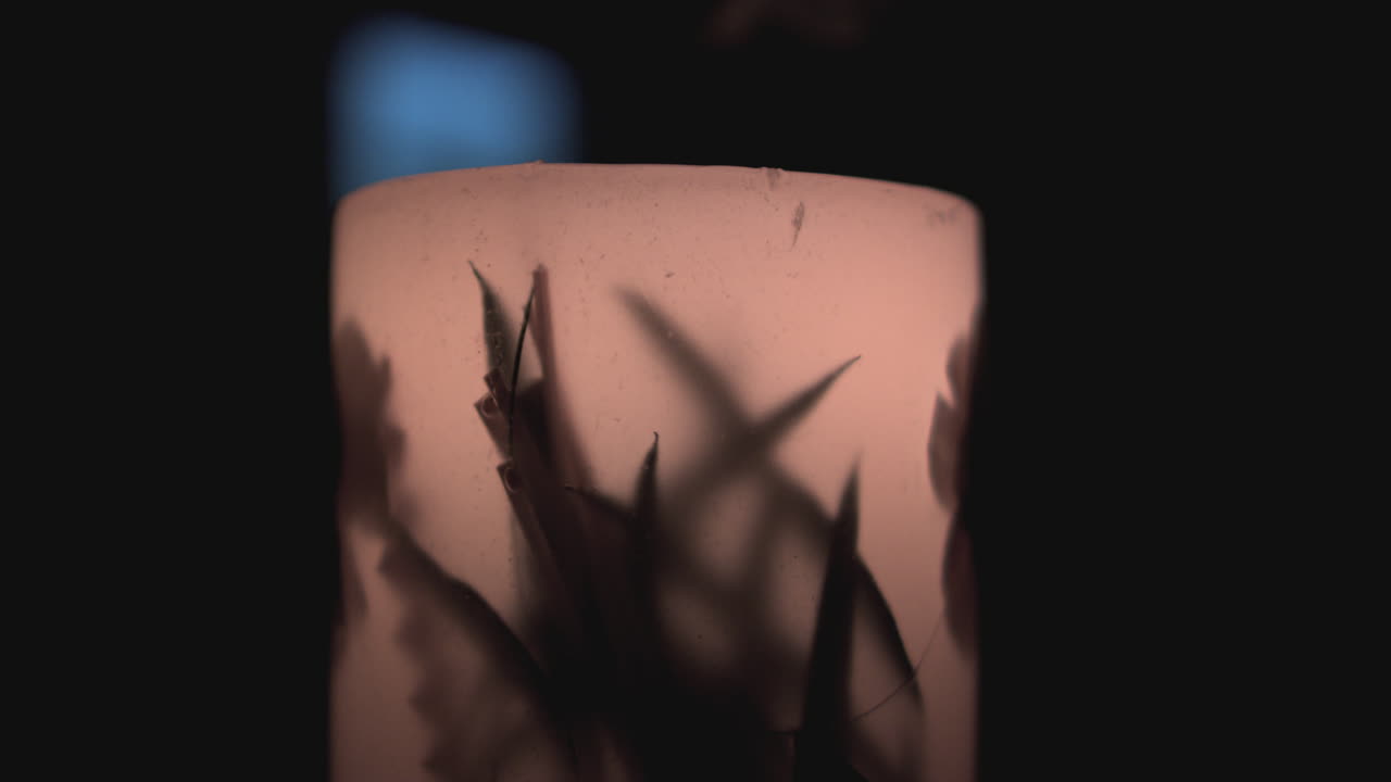 A single candle with embedded flowers flickers, casting soft, dancing shadows in the dark and creating a serene, intimate ambiance