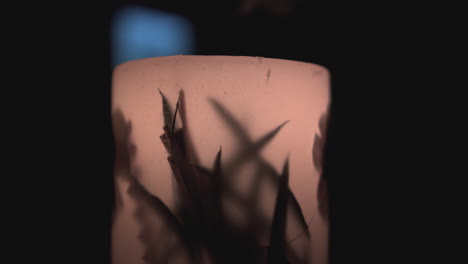 a single candle with embedded flowers flickers, casting soft, dancing shadows in the dark and creating a serene, intimate ambiance