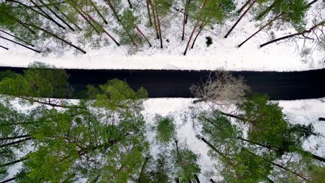 Aerial view of a snow-covered forest with a winding road snaking through it