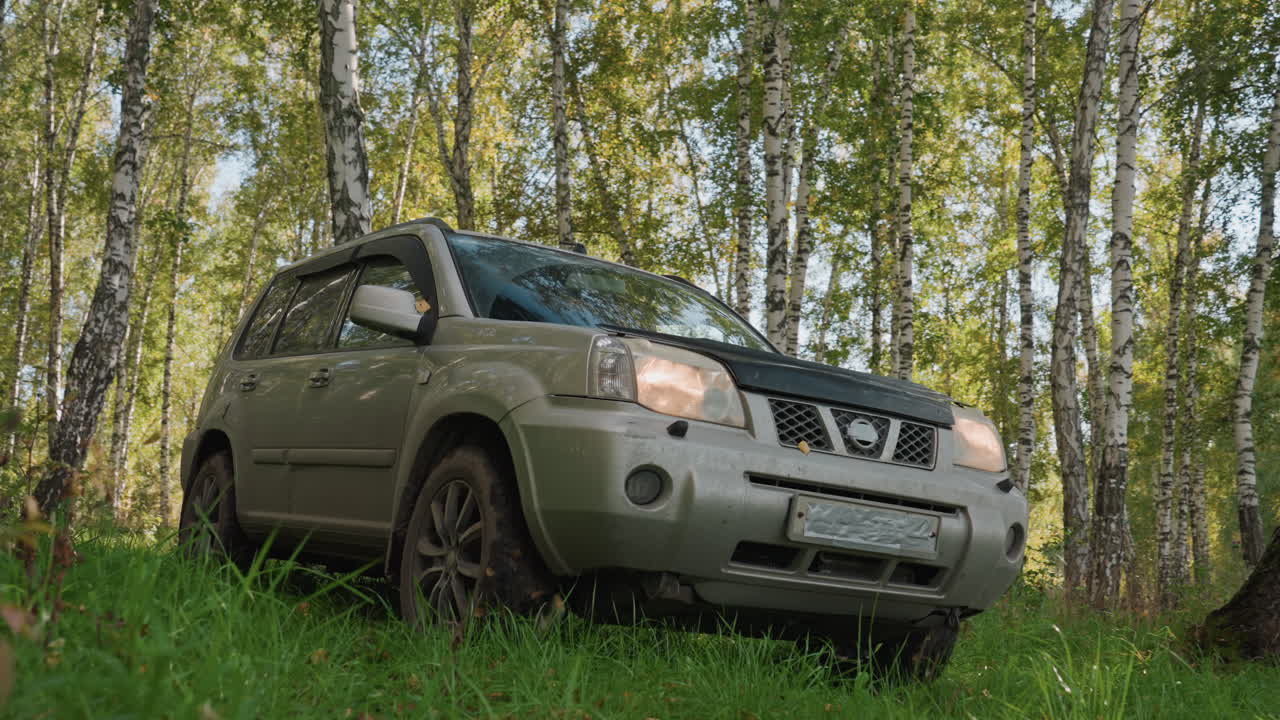 Veículo se aproxima do acampamento. SUV se aproxima de clareira de bétulas iluminada pelo sol. Veículo brilhante avança em direção a bosque de bétulas claro. SUV prateado avança suavemente para uma clareira florestal ensolarada
