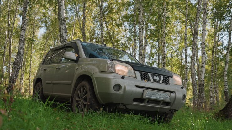 Un véhicule s'approche du site de camping. Un VUS approche d'une clairière de bouleaux ensoleillée. Un véhicule brillant avance vers un bosquet de bouleaux lumineux. Un véhicule utilitaire sport argenté se déplace en douceur dans une ouverture forestière ensoleillée