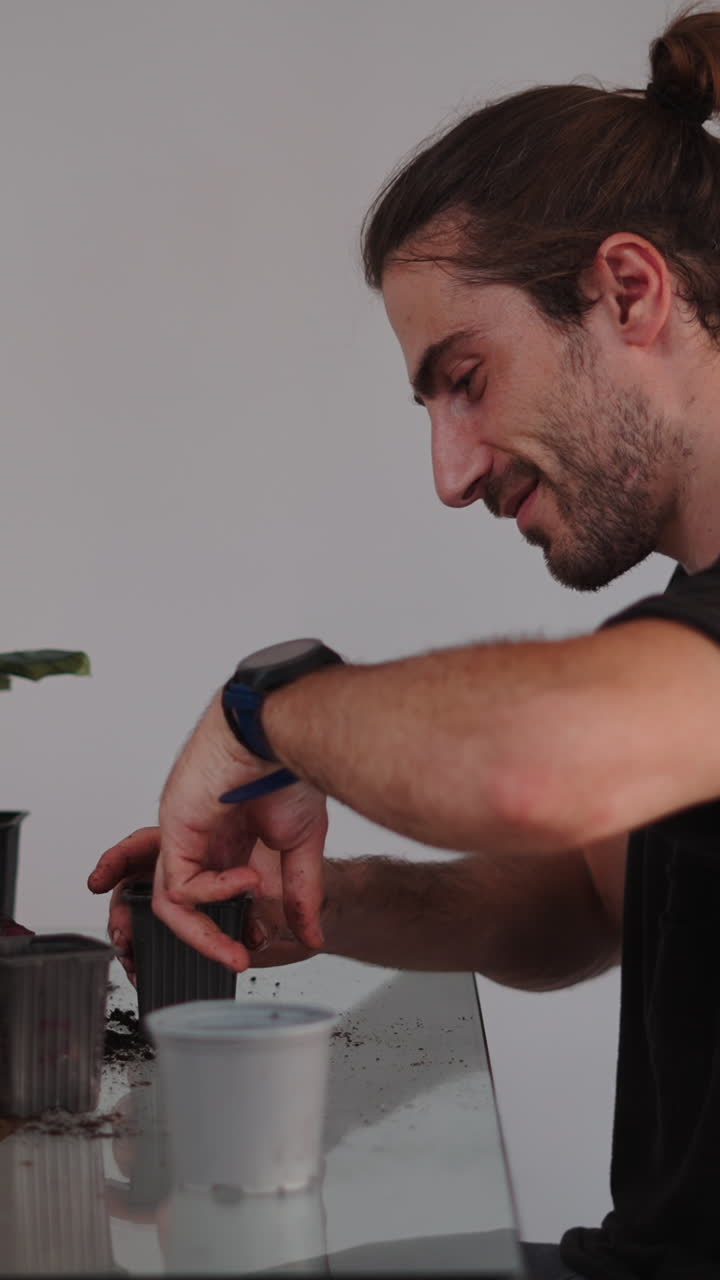 Rinvasare una pianta da interno