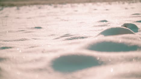 close-up view of microtexture of the snow surface