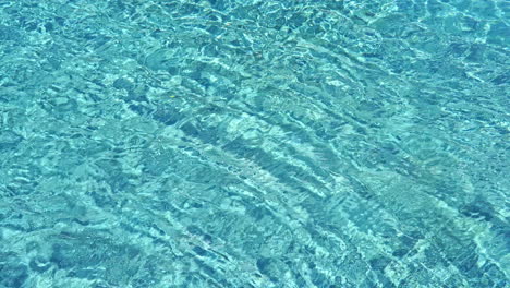 crystal clear azure water of a swimming pool with slow ripples on its surface
