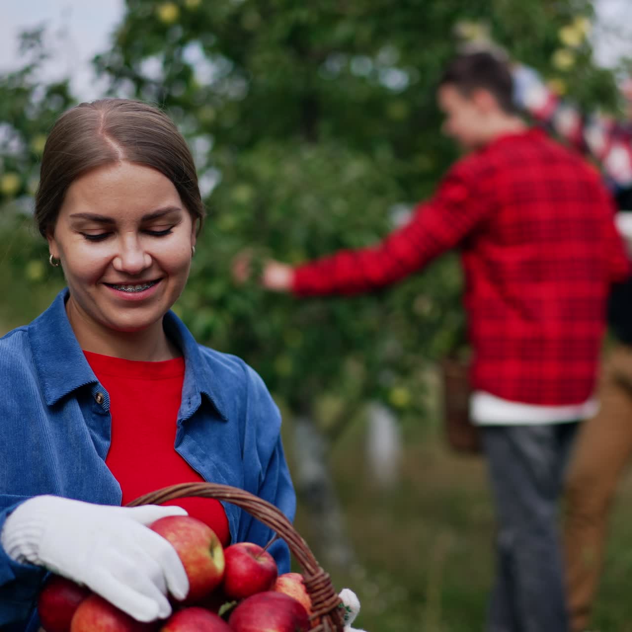 Happy long-haired lady with basket of apples in her hands looks at fruit she's picked. Man and boy gather apples from a tree at backdrop in blur