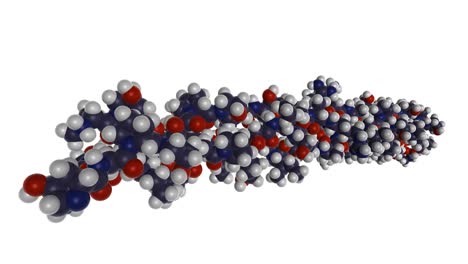 representación en 3d de la biomolécula de fibras de colágeno (biopolímero de tejido conectivo que forma tejidos articulares, ligamentos y tendones).