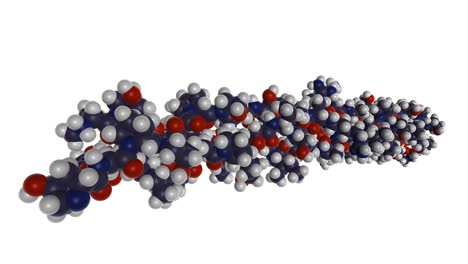 3d rendering of biomolecule of collagen fibers (connective tissue biopolymer forming joint, ligament and tendon tissues).