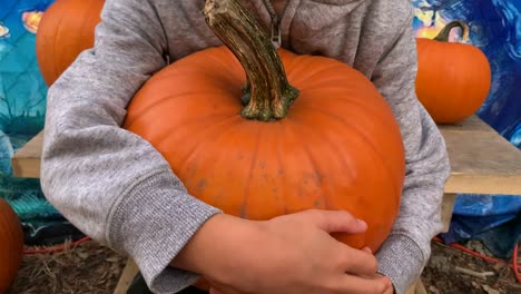 child sitting on a wooden bench holding an orange pumpkin on lap